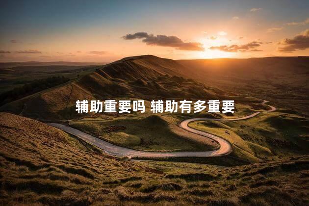 辅助重要吗 辅助有多重要